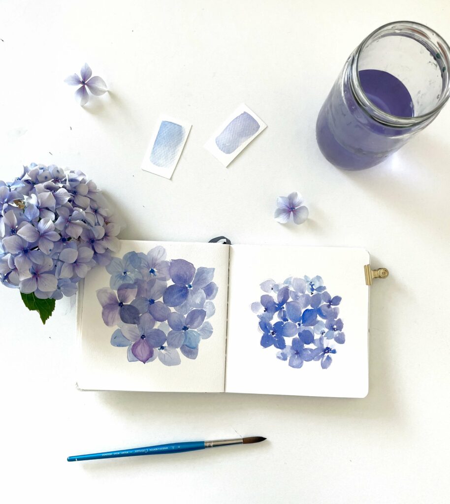 Aquarelle Hortensia bonjour couleurs