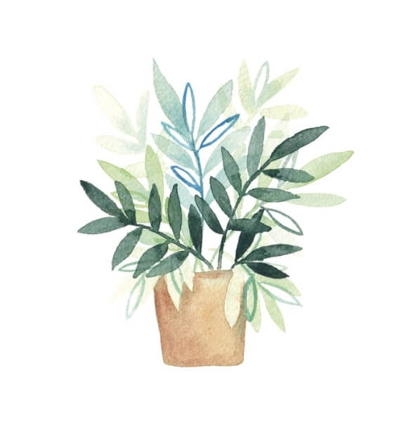 plante en pot aquarelle