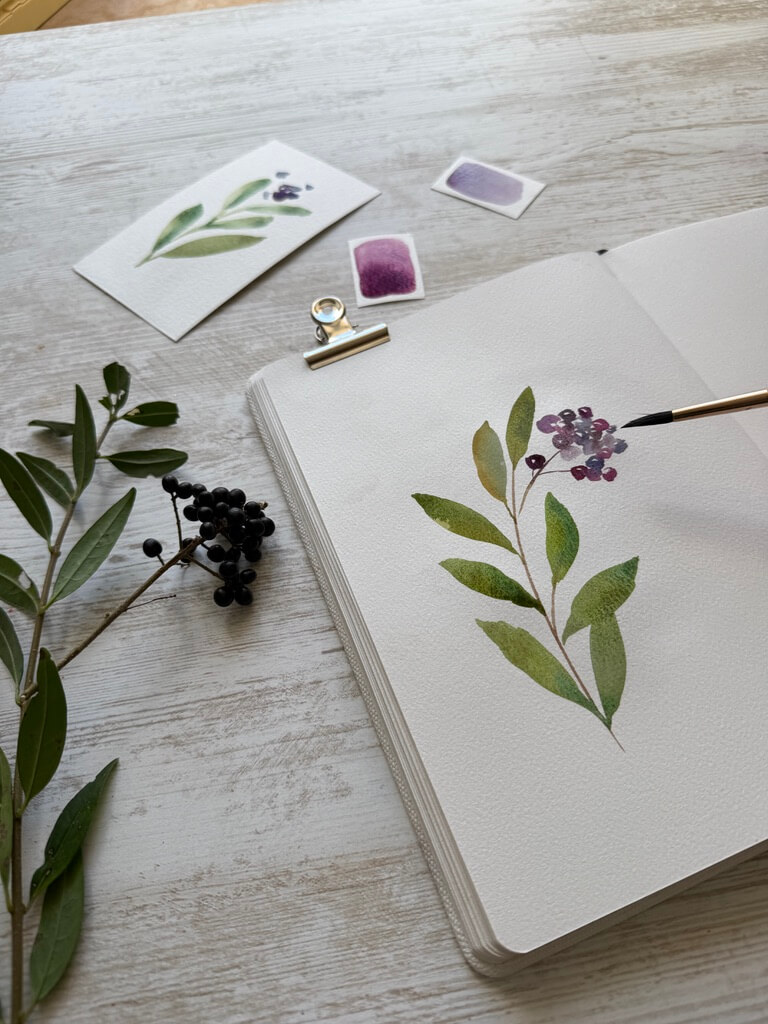 aquarelle baies violettes